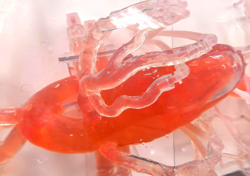 血管介入治療模擬訓(xùn)練平臺