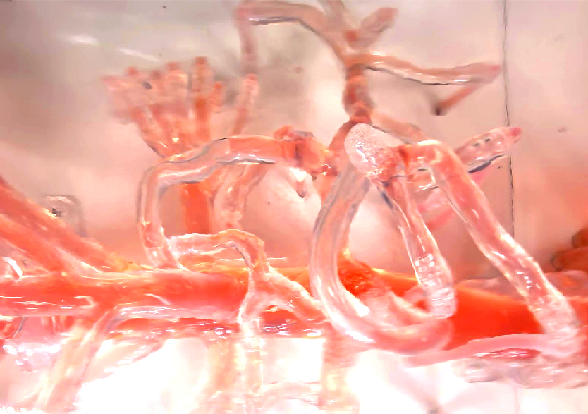 血管介入治療模擬訓(xùn)練平臺